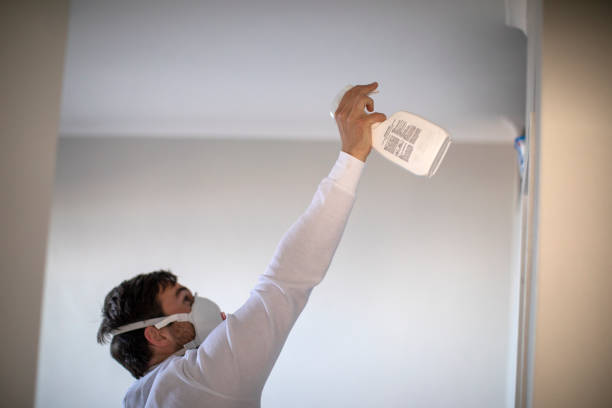 Best Certified Mold Removal  in Albany, MO