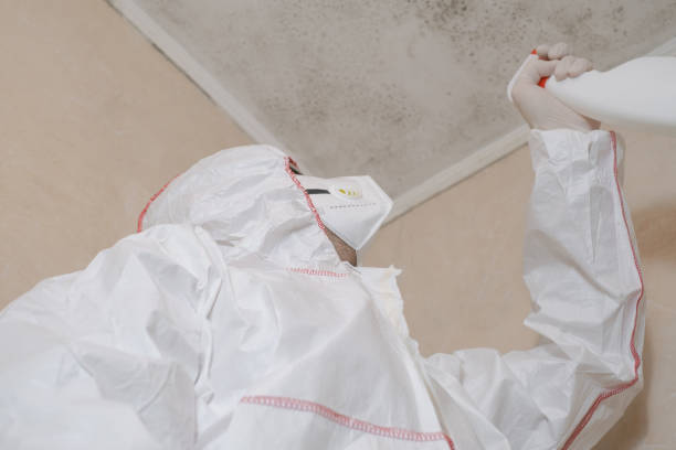 Best Toxic Mold Removal  in Albany, MO