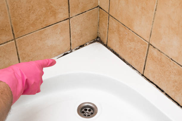 Best Mold Testing  in Albany, MO